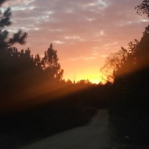 Meet your Posher, Eugene